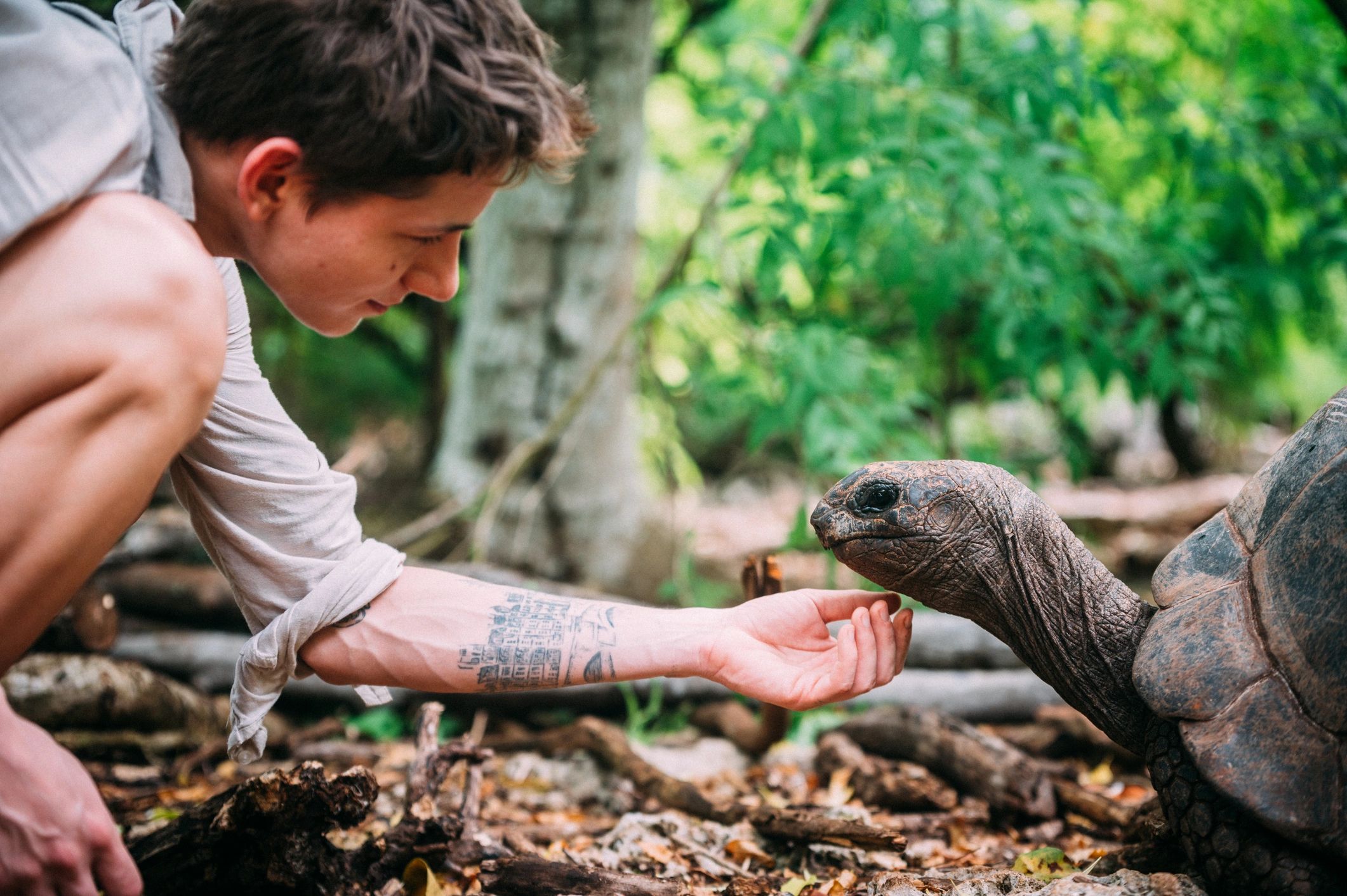 Person gently holding a tortoise
