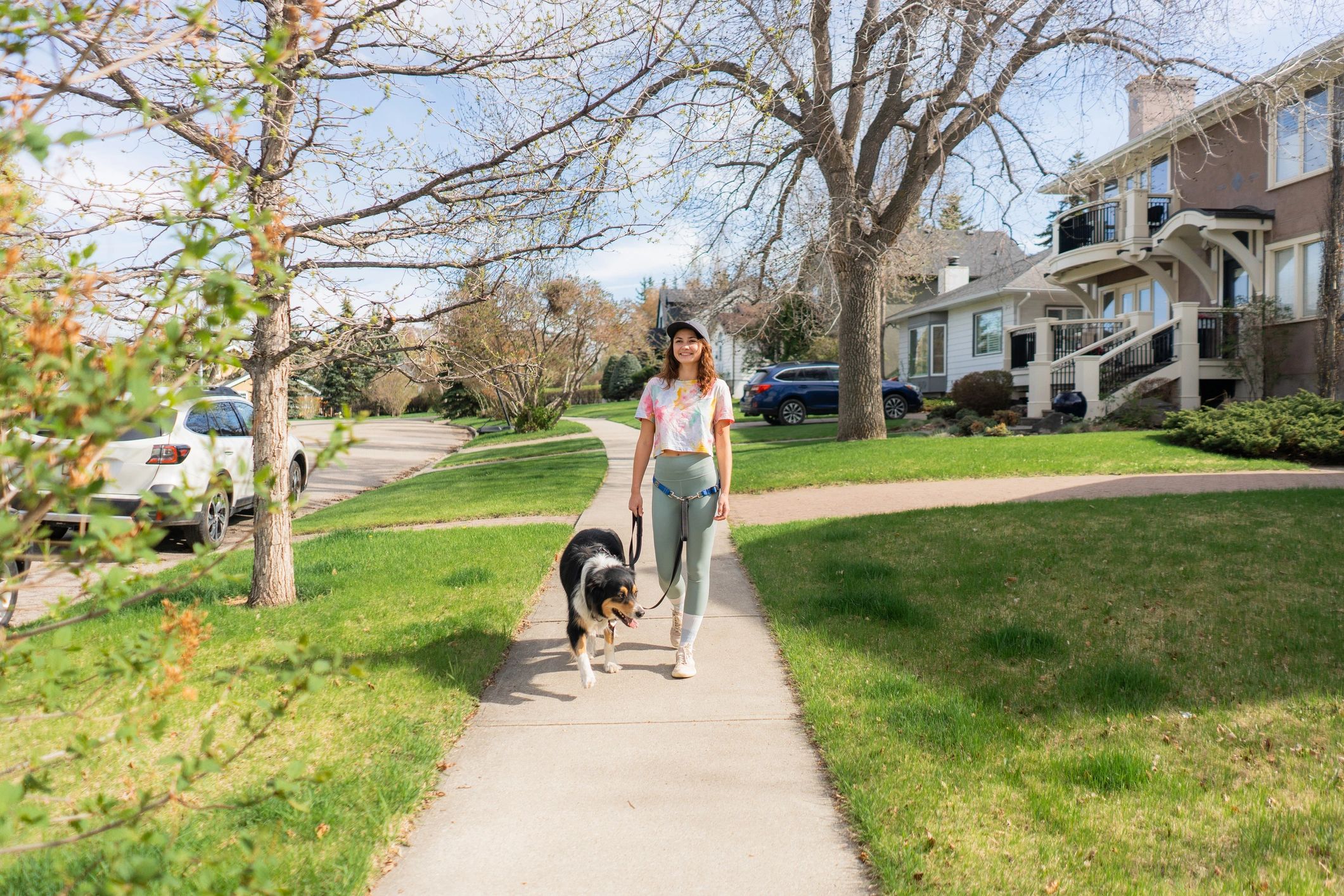 Dog walker walking an Australian Shepherd in a suburban neighborhood
