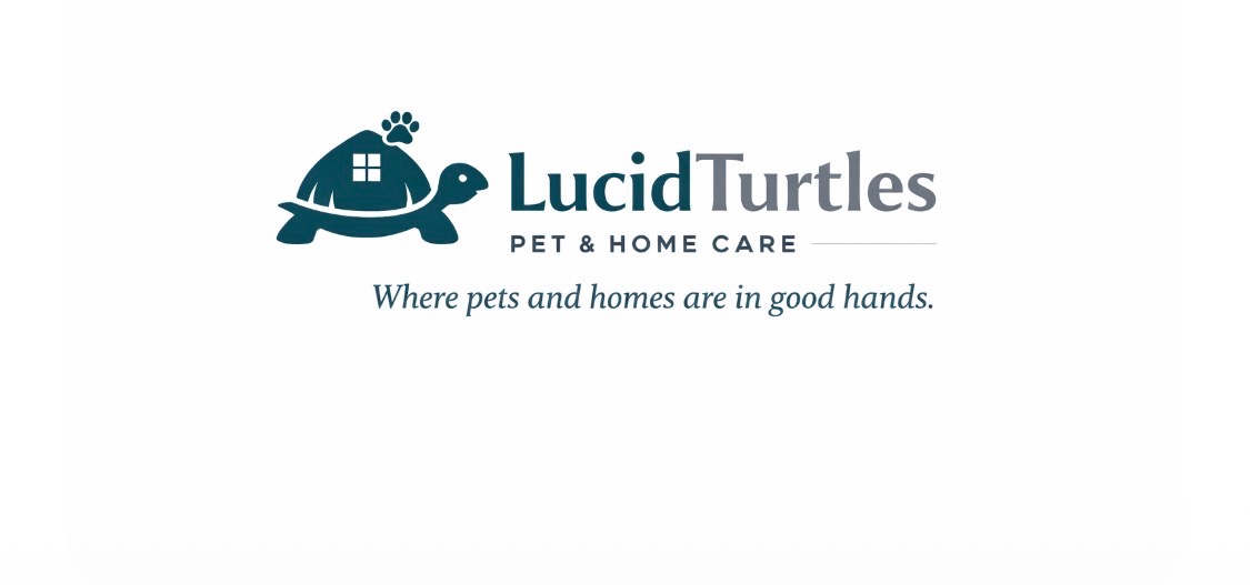 LucidTurtles